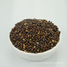 Black broomcorn millet Glutinous millet